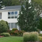 These Simple Fixes Will Make a Big Impact on Your Home Exterior