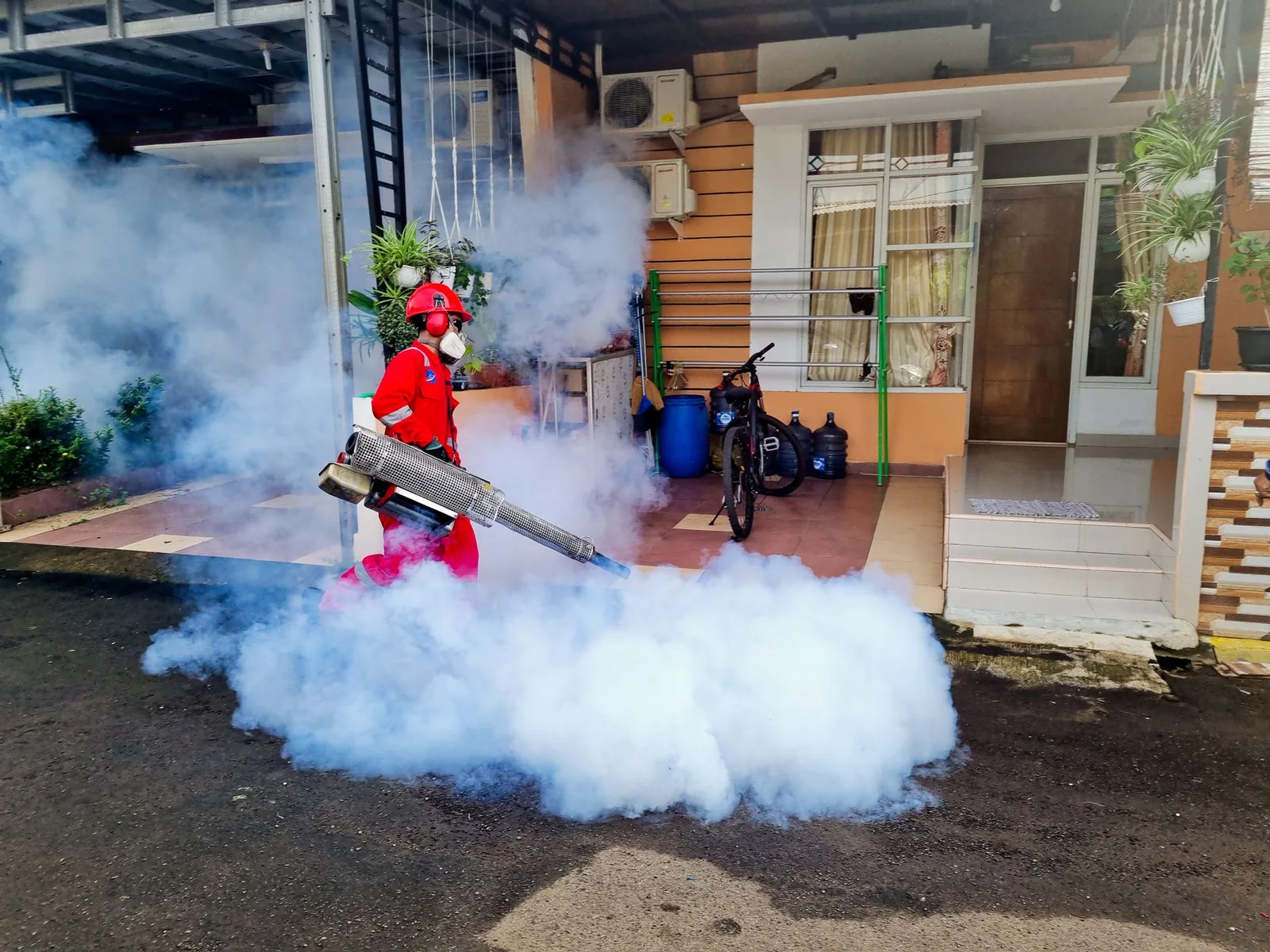 How to Get Rid of Common Household Pests