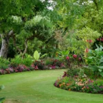 Ultimate Guide on How to Design a Garden: Steps for a Stunning Outdoor Space