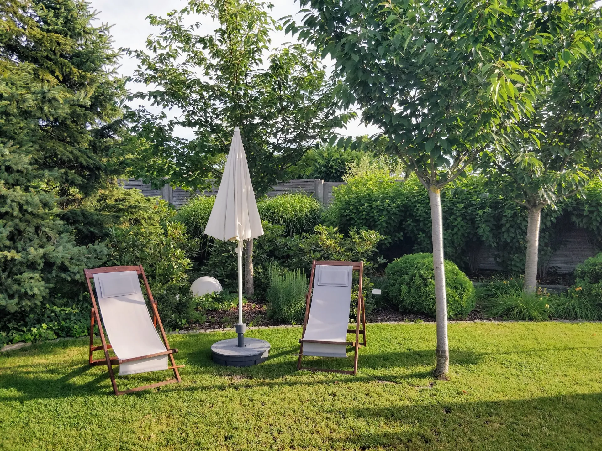 Two deck chairs and a parasol on a lawn under young trees, with sunny and shaded spots beside mixed shrubs