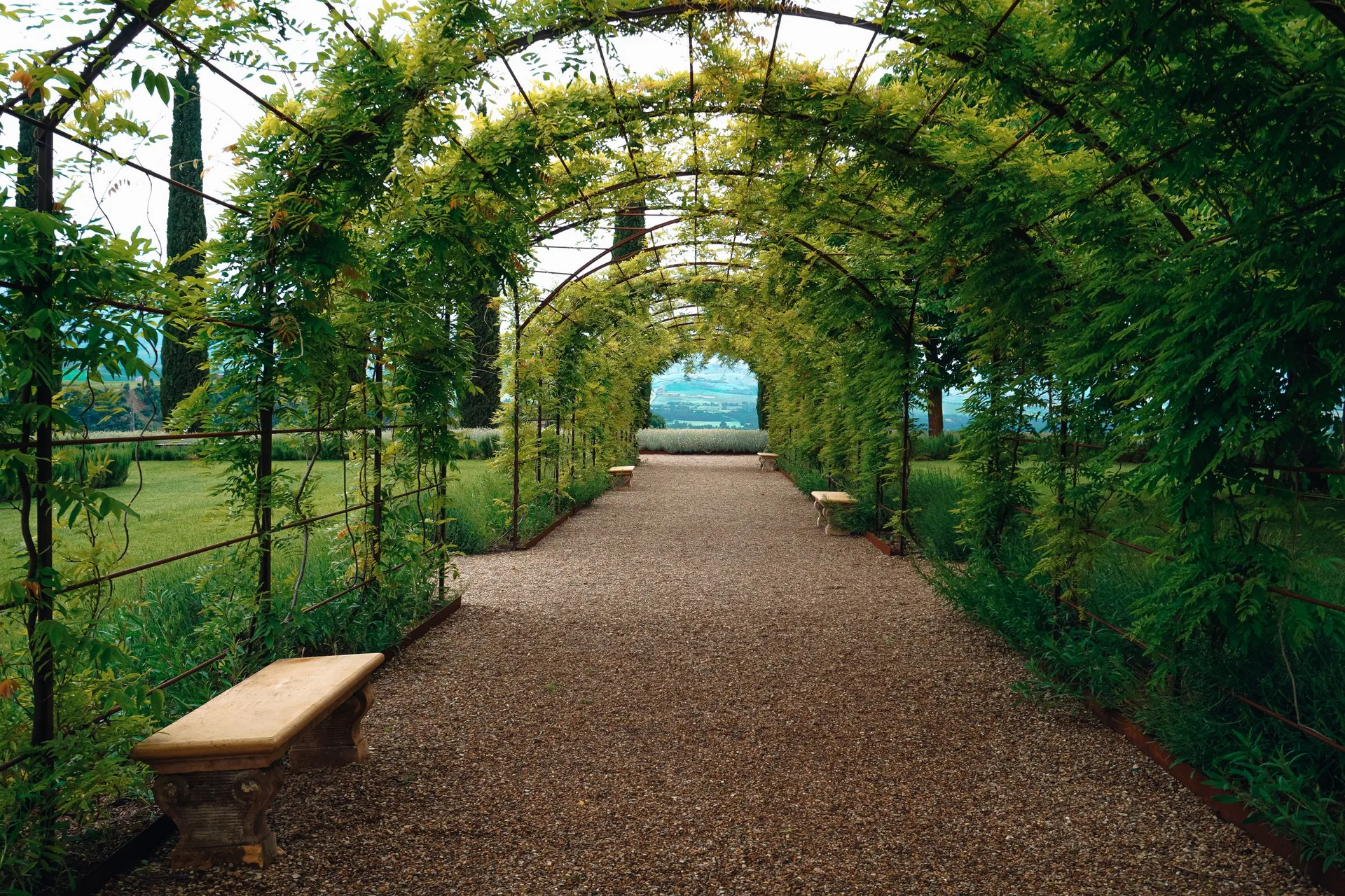 Gravel pathway under a long arch of climbing vines, with a wooden bench placed along the route