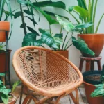 Choosing the Perfect Rattan Corner Set for Your Space: A Buyer’s Guide