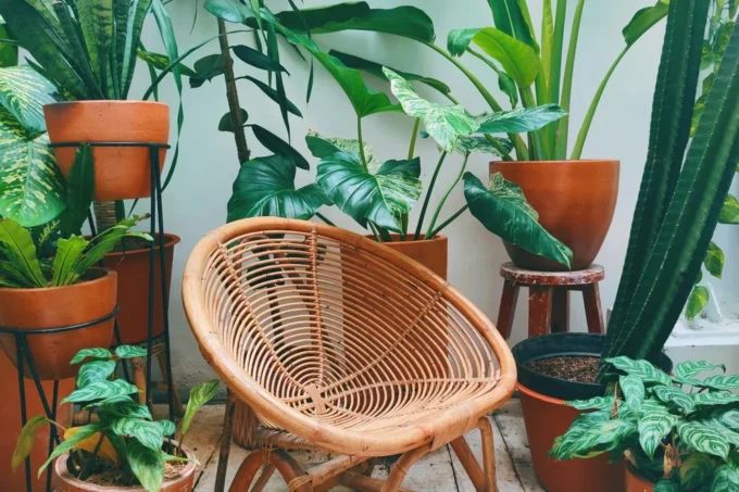 Choosing the Perfect Rattan Corner Set for Your Space: A Buyer’s Guide