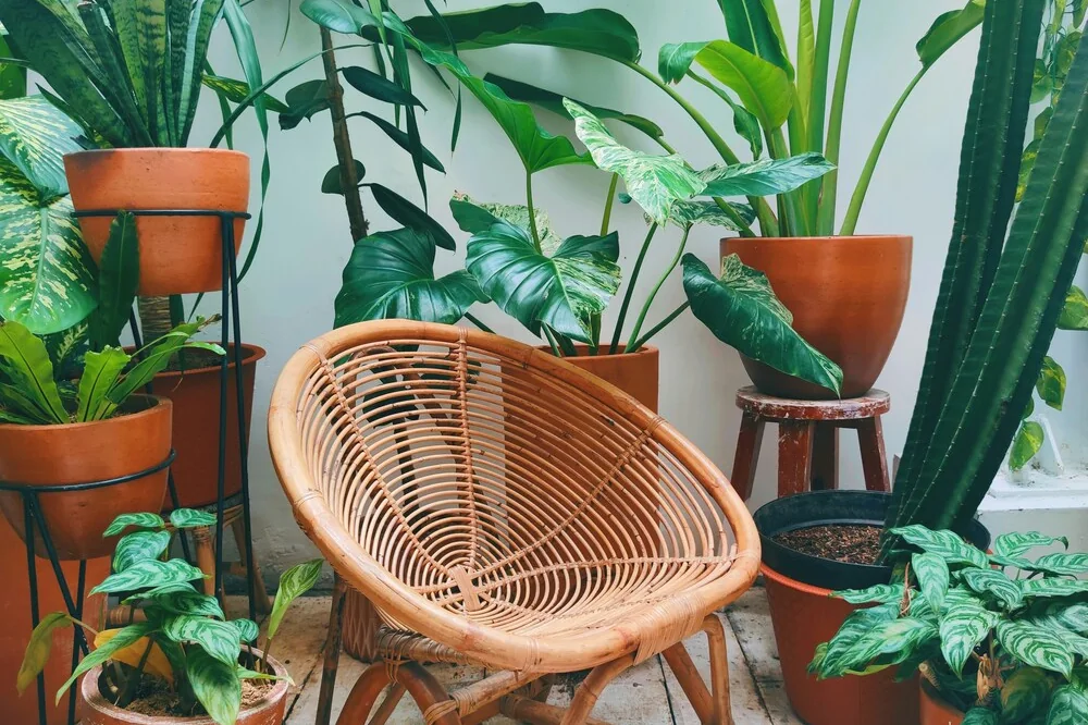 Choosing the Perfect Rattan Corner Set for Your Space: A Buyer’s Guide