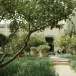 LS Compact Tractors – Power and Performance For Your Garden