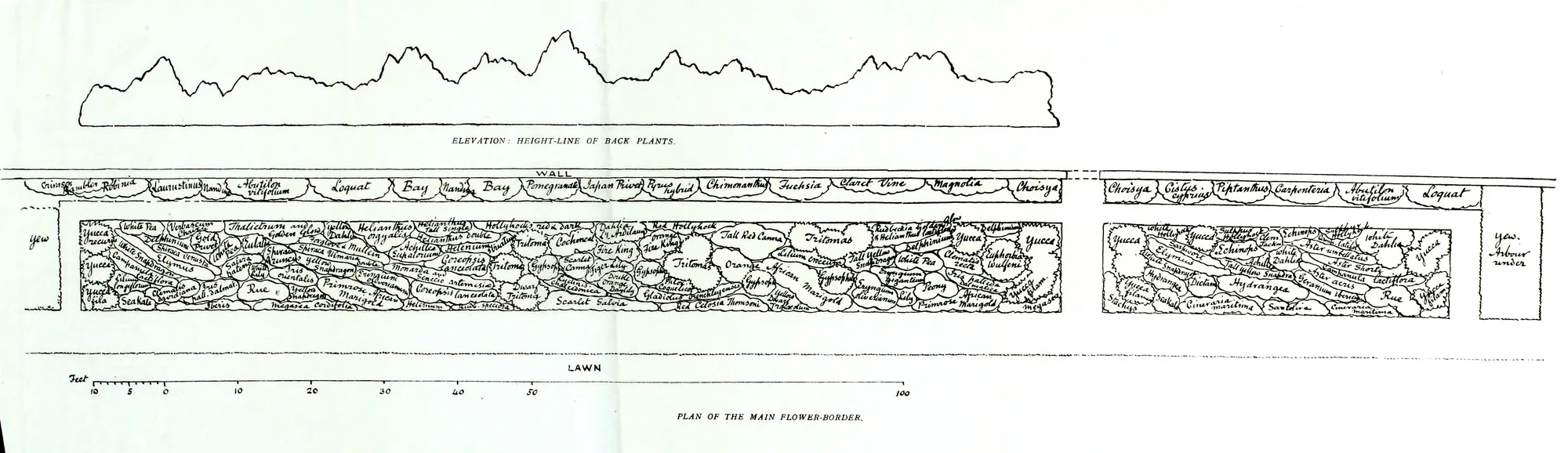 Munstead Wood main flower border planting plan (1908), Surrey, England, by Gertrude Jekyll