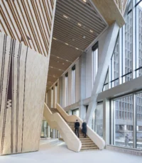 Timber clad feature staircase rising from the Pyramid Hall beside tall windows and diagonal steel columns, New Government Quarter by Nordic Office of Architecture