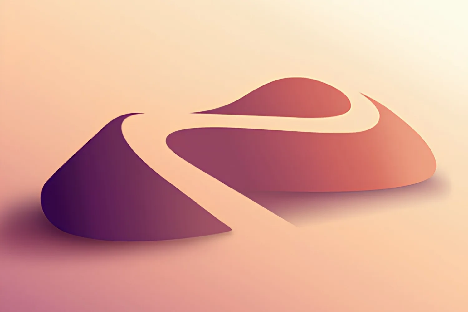Nomad Sculpt logo, a smooth S-shaped form in purple and coral gradients
