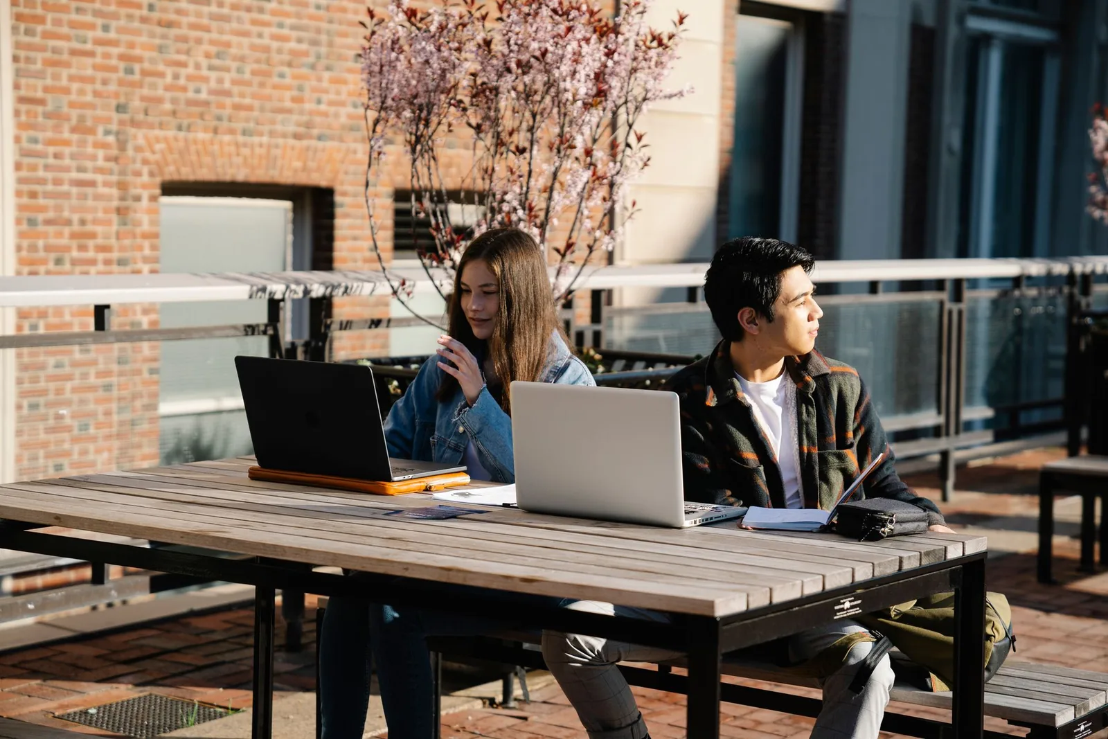Evolution of Architectural Education in the Digital Age: The Role of Online Platforms in Preparing Students