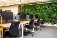 Living Walls Are Just the Start: What Biophilic Design Looks Like in Today’s Offices