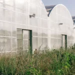 Signs Your Polycarbonate Roof Needs Repair or Replacement