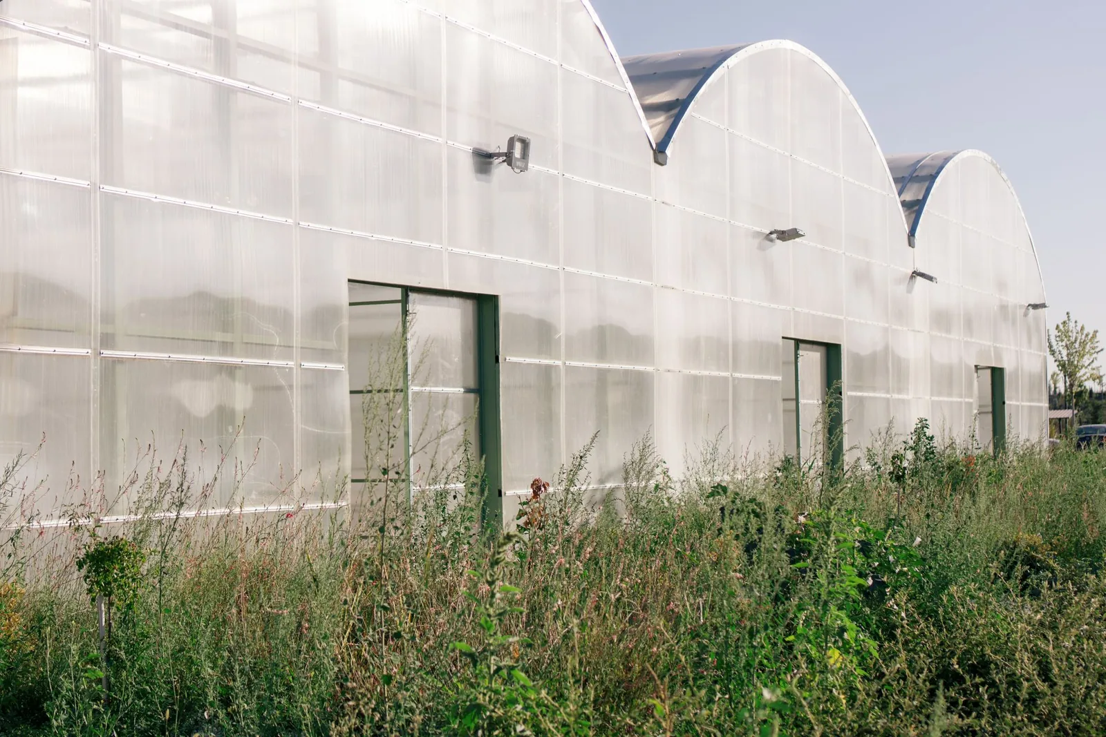 Signs Your Polycarbonate Roof Needs Repair or Replacement