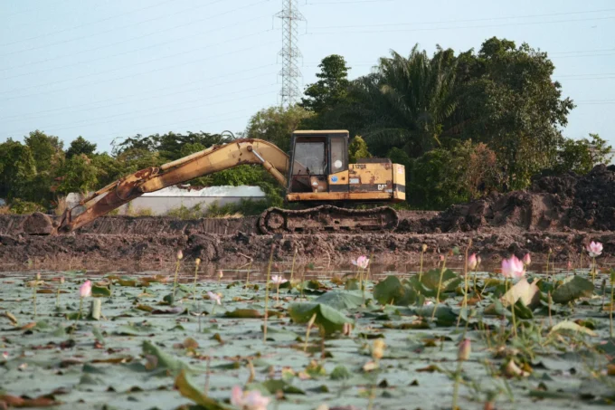 Common Signs Your Pond Needs Dredging