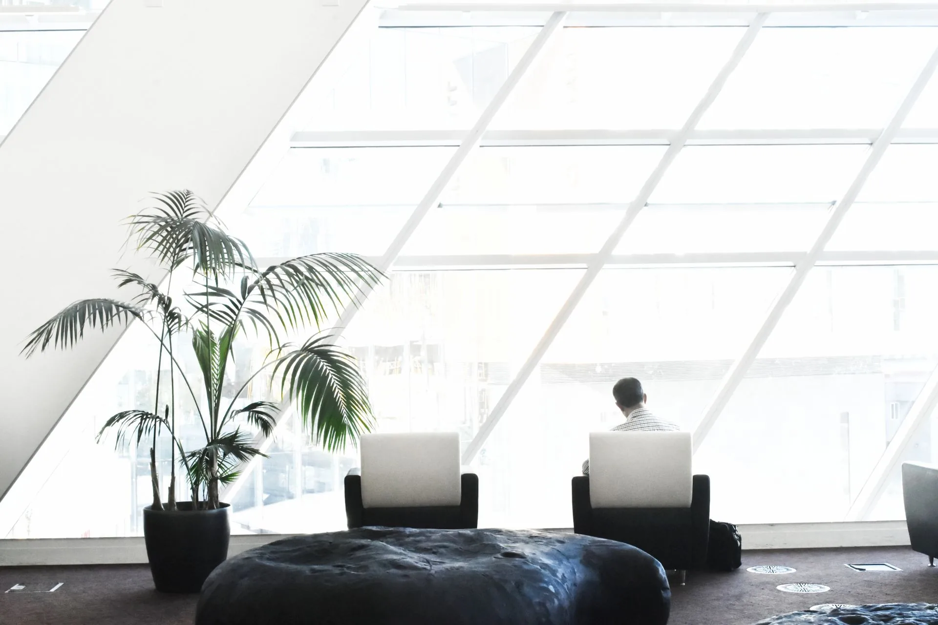 Potted palm beside a person working at a desk under a large glazed roof and windows