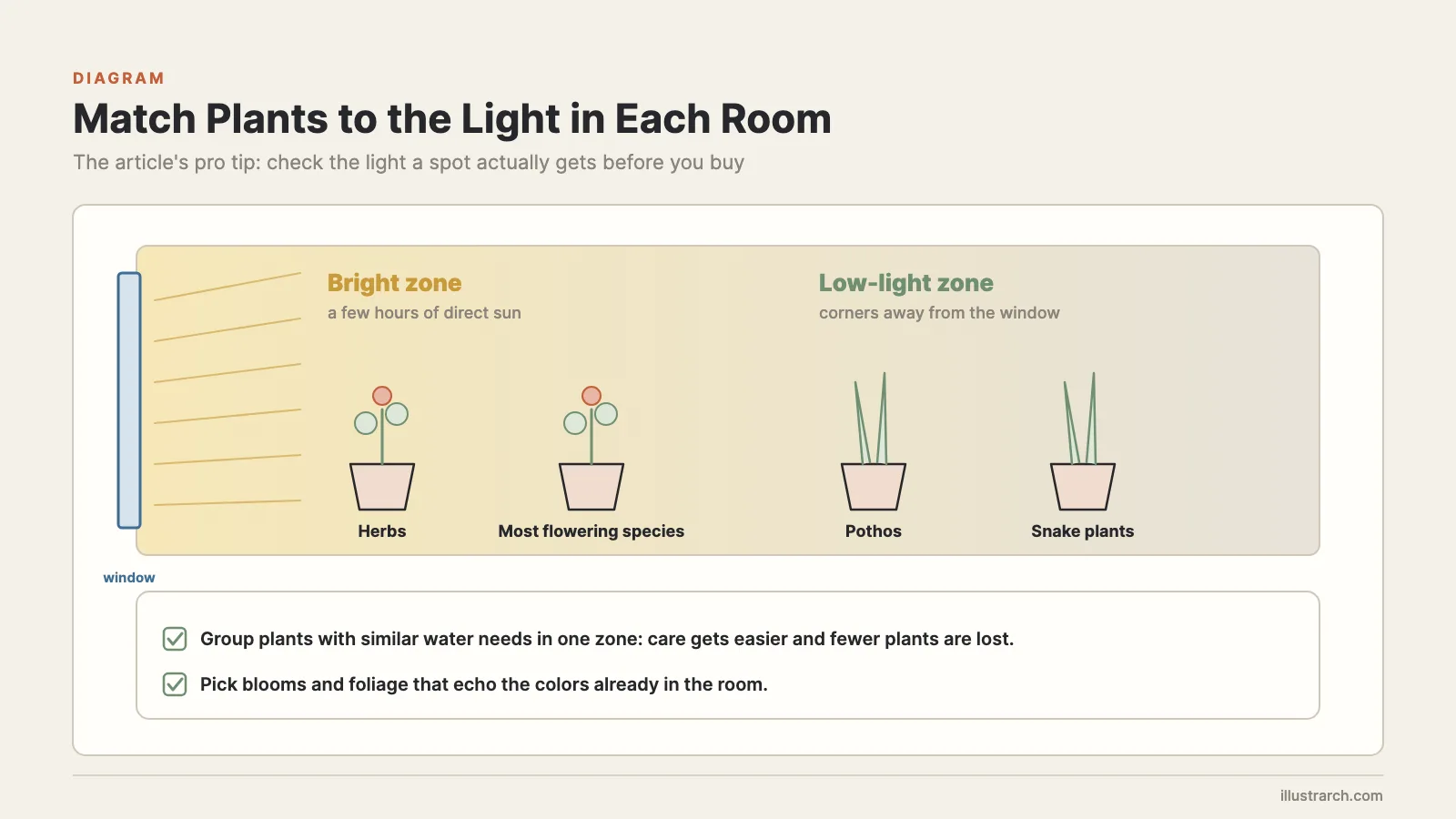 Plant placement by light: herbs and flowering species near the window, pothos and snake plants in low light