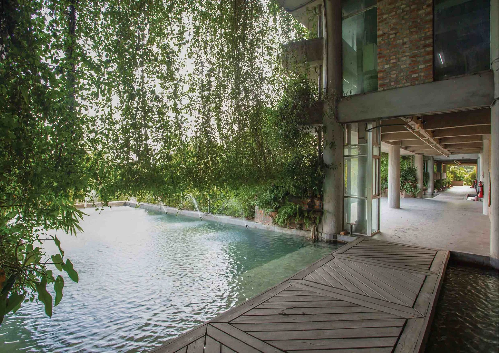Shaded veranda with a timber deck beside a long pool under hanging plants and concrete columns