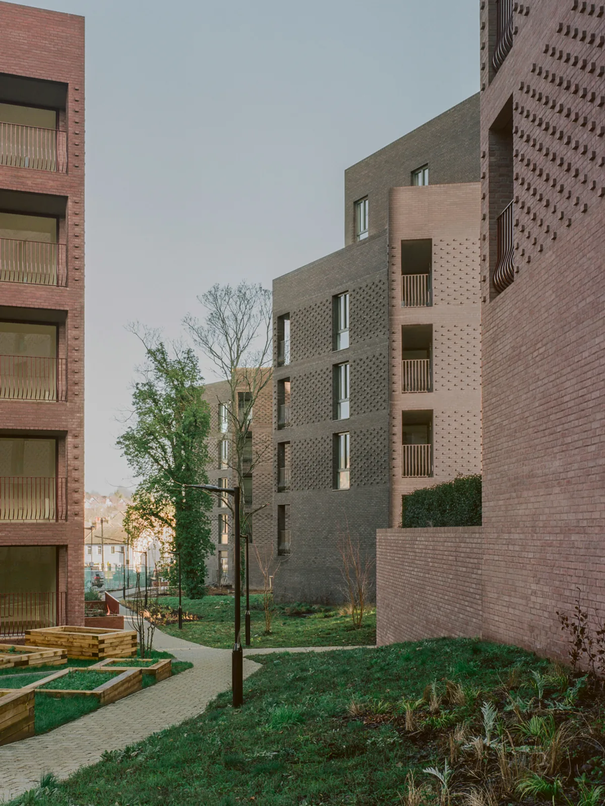 Brick apartment blocks of different tones stepping along a planted courtyard with raised timber beds