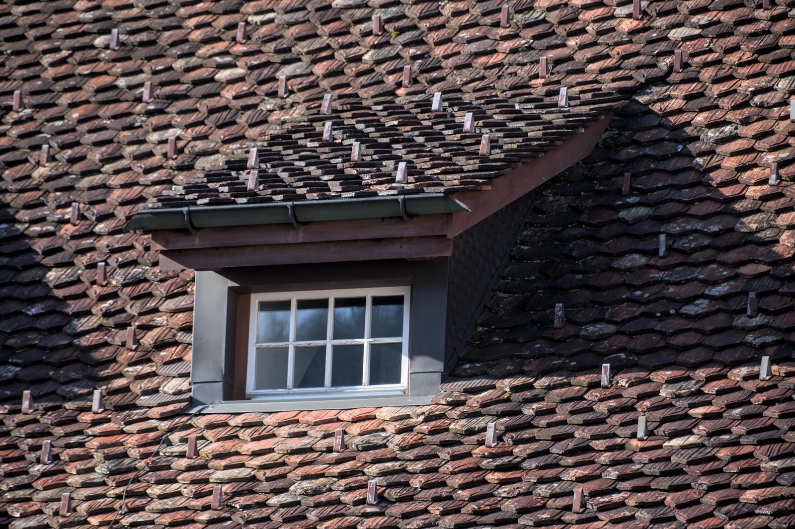 Roof Inspection Tips Before Starting a Project