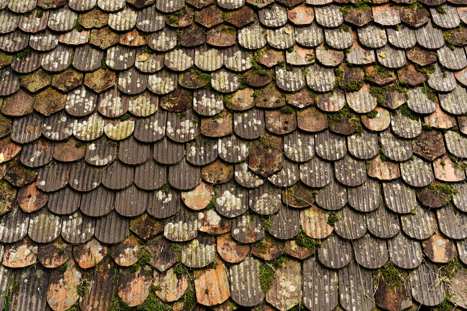 The Essential Factors That Contribute to Roof Longevity Over Time