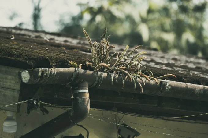 Why Regular Roof Maintenance Is Key to Avoiding Costly Repairs