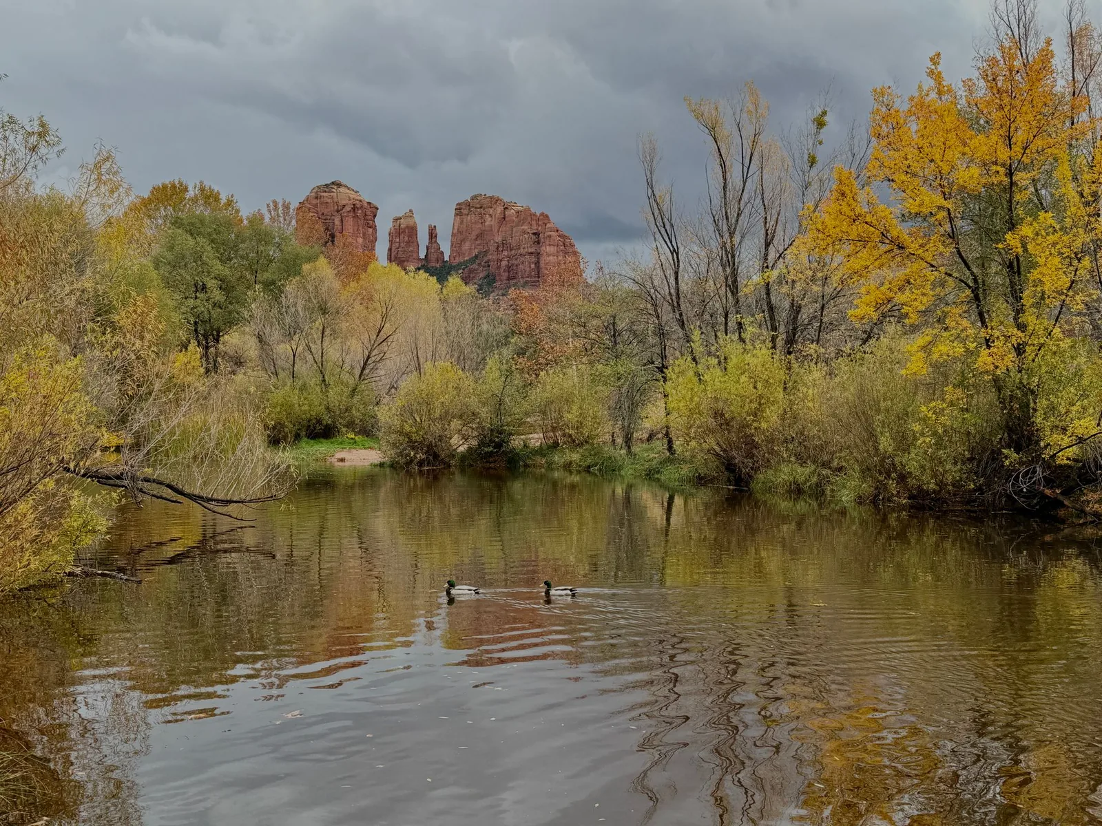 Sedona Oak Creek Cabins for Family Vacations: 7 Kid-Friendly Retreats Compared