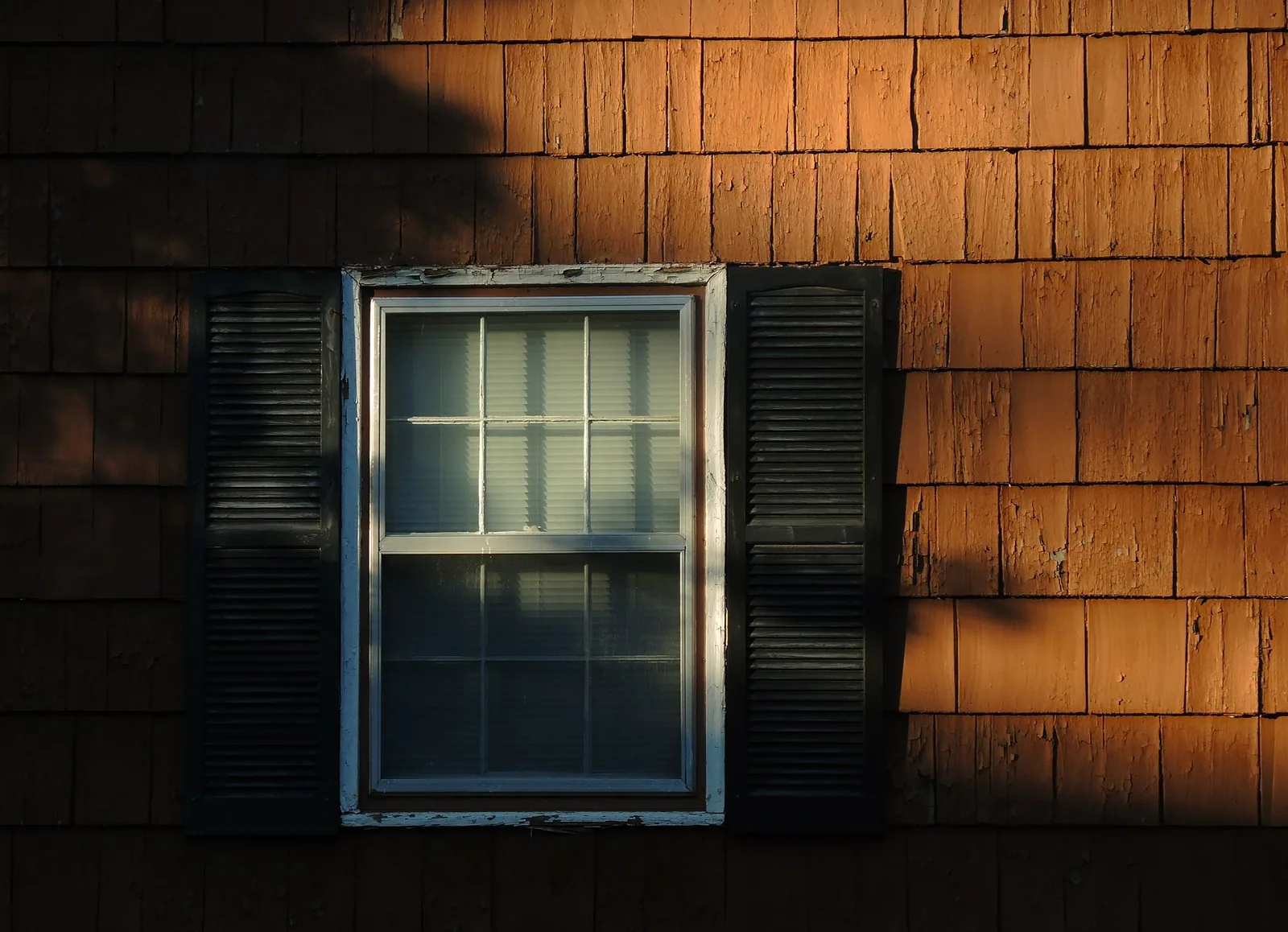 Exploring Different Siding Options: Which Style is Right for You?