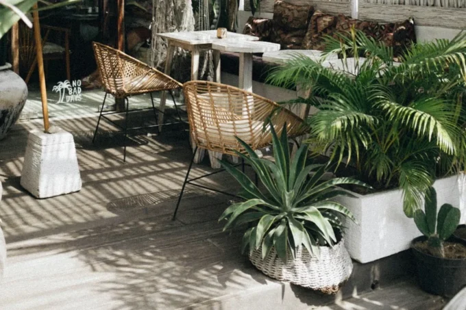How To Ensure Your Garden Design Is Eco-Friendly