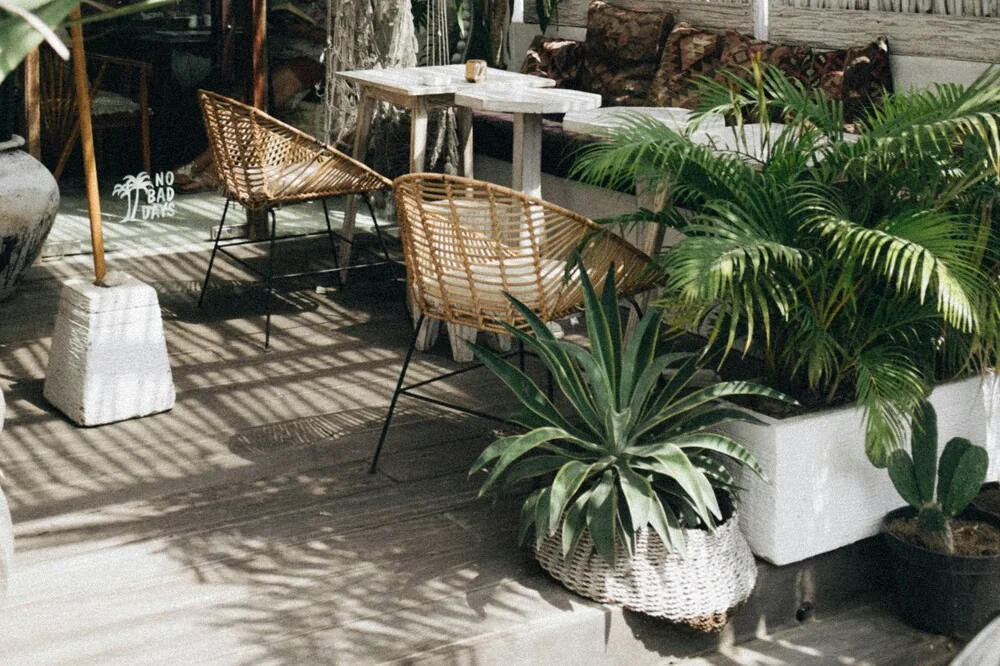How To Ensure Your Garden Design Is Eco-Friendly