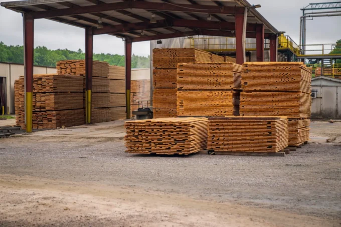 A Useful Guide to Choosing Sustainable Wood Products for Your Next Build