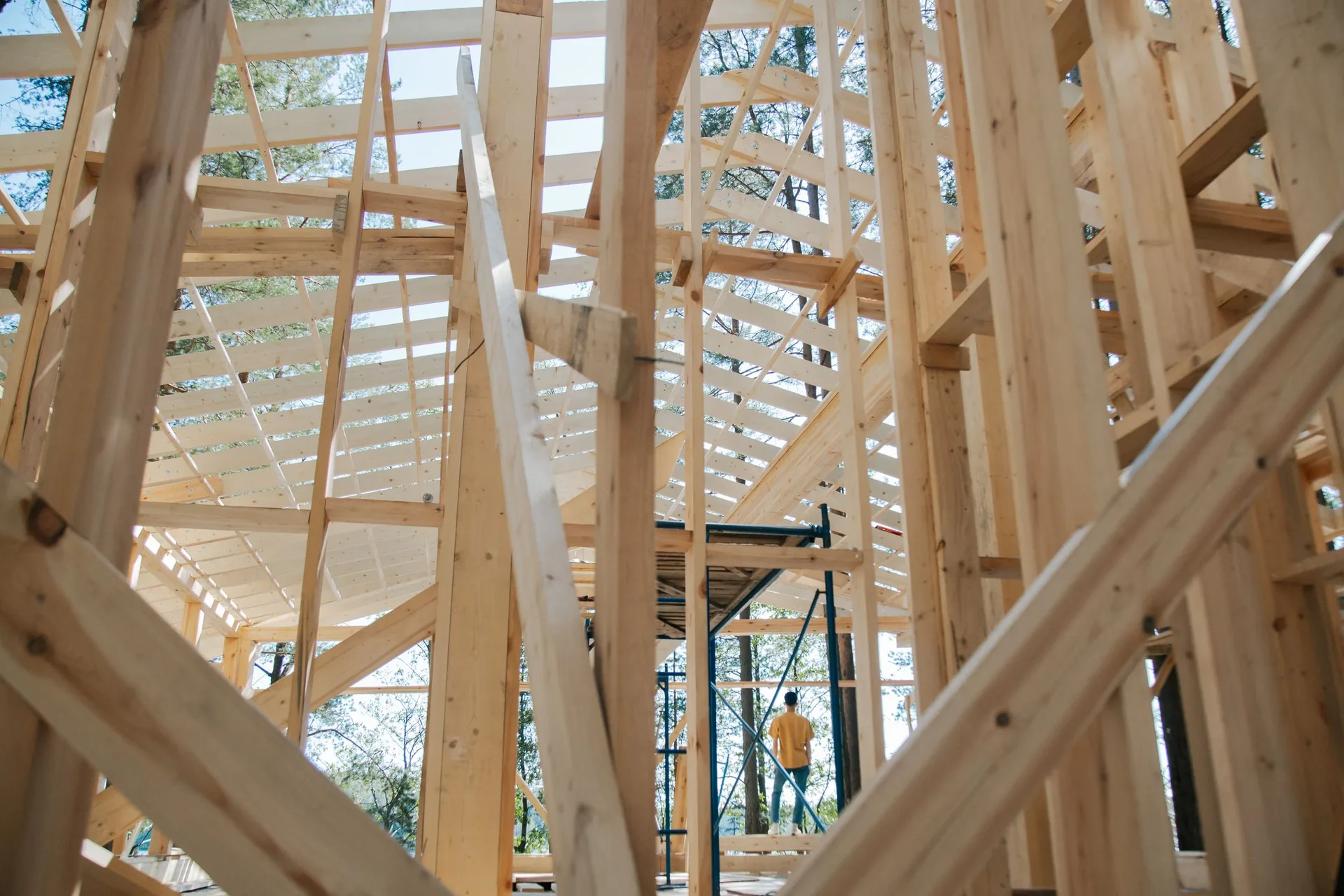 Timber stud walls and roof framing of a small building under construction, seen from inside the frame