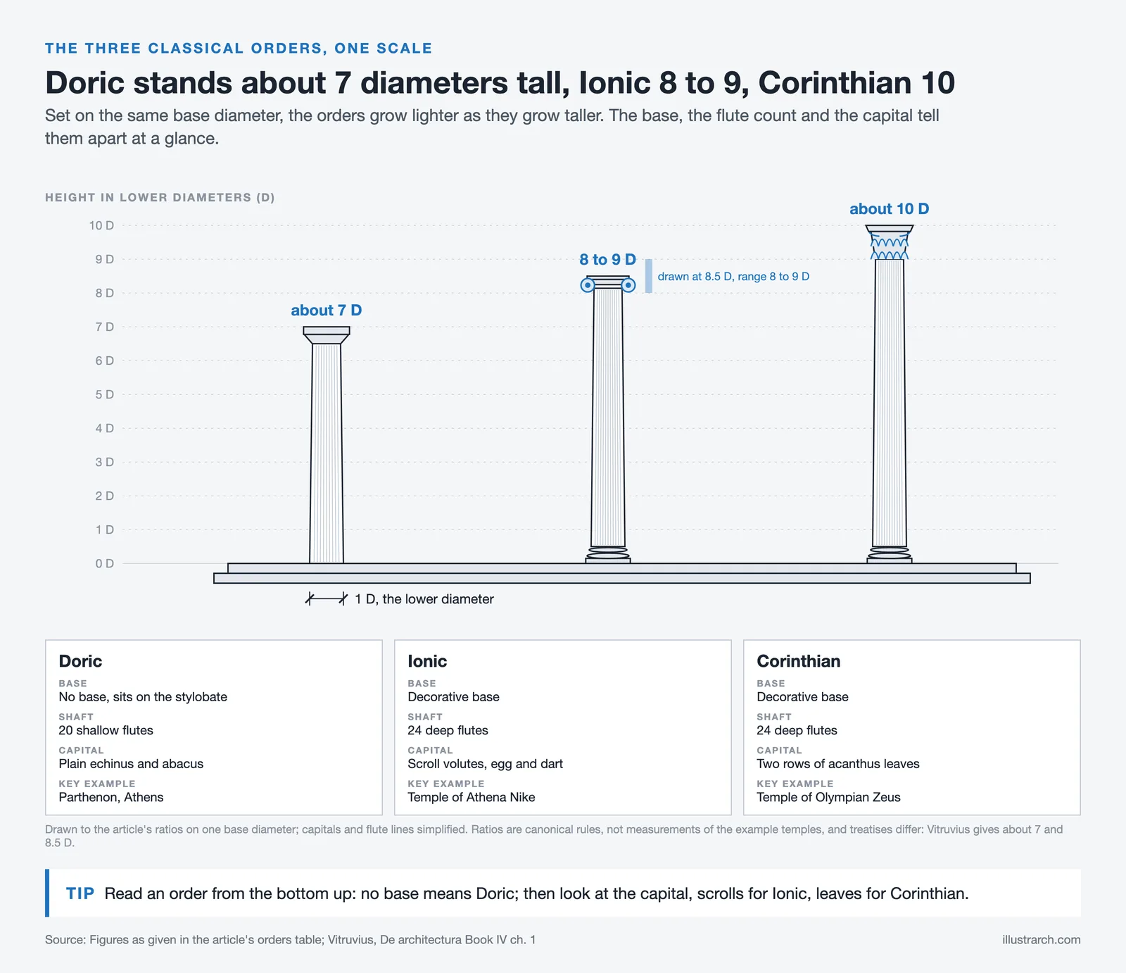 Doric, Ionic and Corinthian columns on one base diameter, about 7, 8 to 9 and 10 diameters tall, with their details