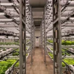 How to Revitalize Traditional Farm Spaces with Modern Innovations