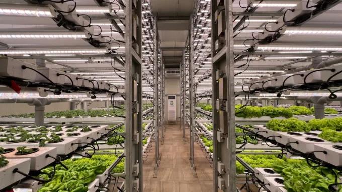 How to Revitalize Traditional Farm Spaces with Modern Innovations