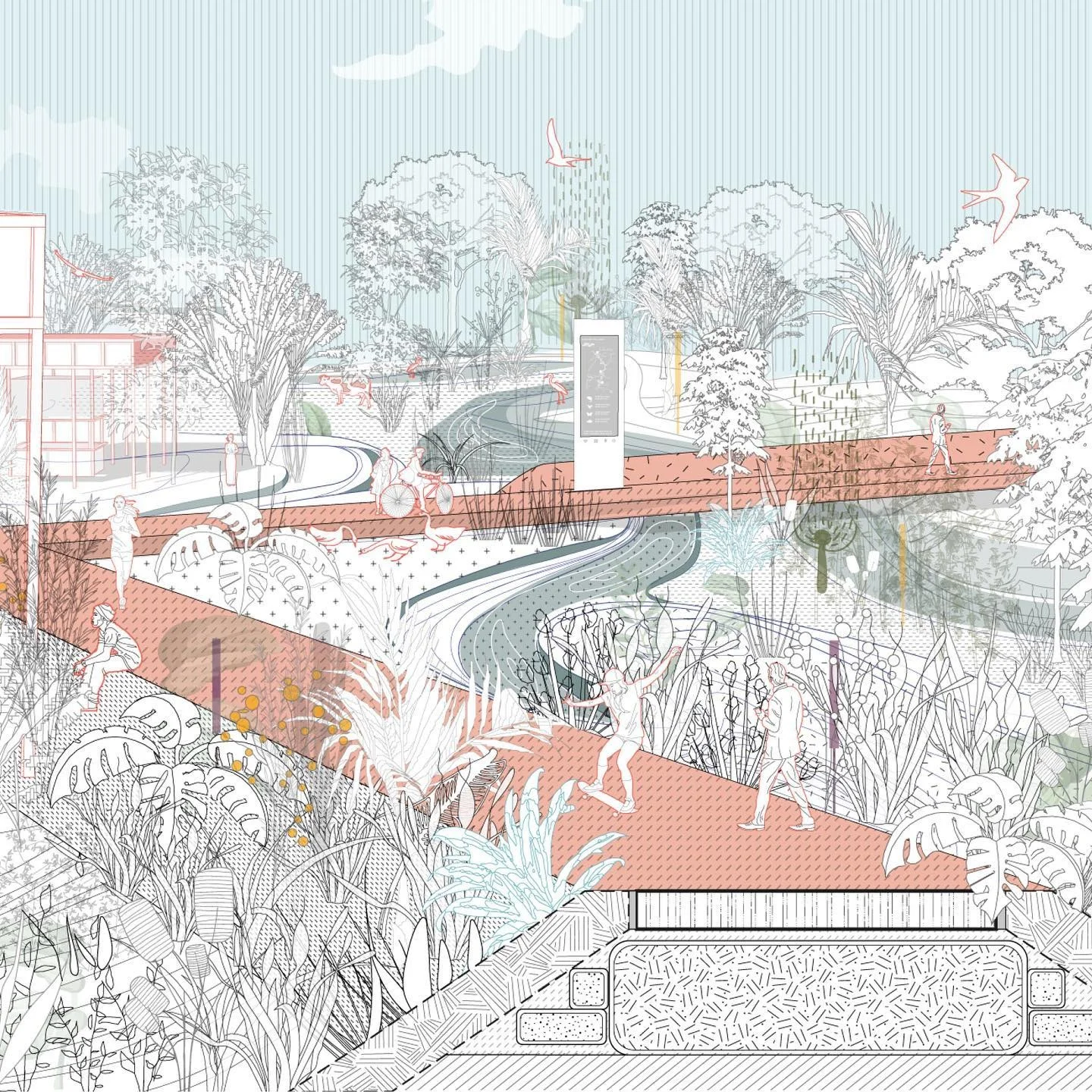 Illustrative perspective of a riverside walkway with dense layered planting over a sectional ground cut